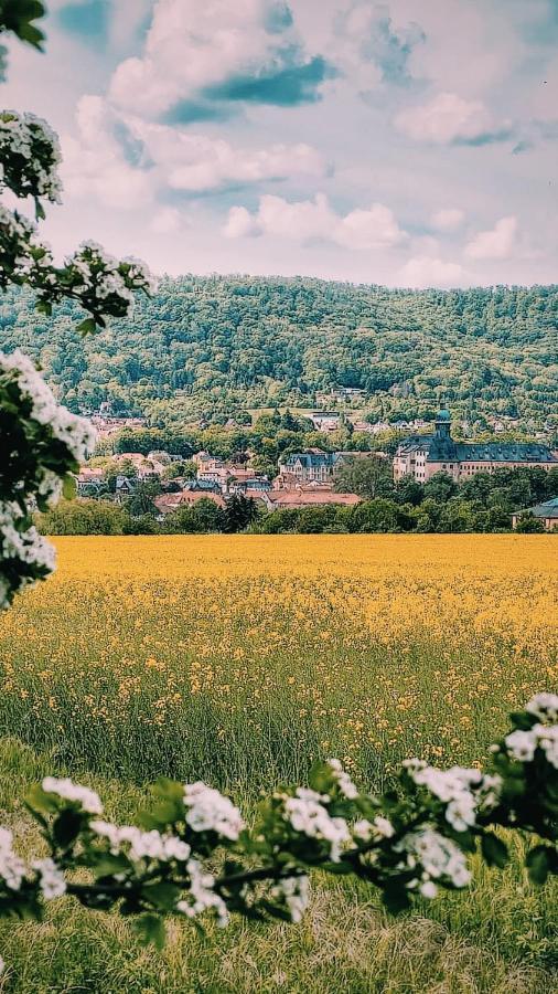 Ferienwohnung Trinitatis Sondershausen Buitenkant foto